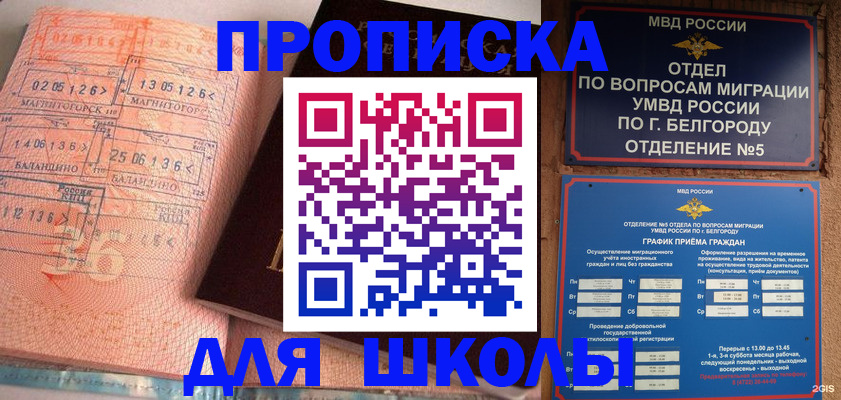 прописка иностранных граждан в Шелехове